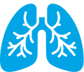Lung Issues in Children Icon