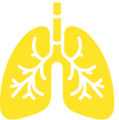 Pneumonia Icon