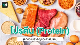 โปรตีน (Protein) คืออะไร?