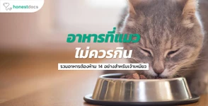 อาหารที่แมวไม่ควรกิน มีอะไรบ้าง?
