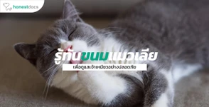 รู้ทัน...ขนมแมวเลีย
