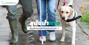 สุนัขนำทาง คนตาบอด ต้องผ่านการฝึกแบบใด ฝึกอะไรมาบ้าง?