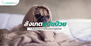 7 อาการของสุนัขเสี่ยงโรค ที่คนเลี้ยงต้องรู้