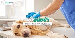 คู่มือโรคพิษสุนัขบ้าฉบับสมบูรณ์: สาเหตุ อาการ การรักษา การป้องกัน วัคซีน