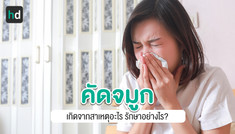 คัดจมูก อาการกวนใจ ชวนหายใจไม่โล่ง