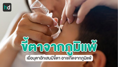 ขี้ตาเยอะ ในโรคภูมิแพ้