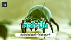 อะไรคือตัวไรฝุ่น สัมผัสแล้วส่งผลเสียต่อสุขภาพอย่างไร