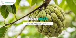 น้อยหน่า (Sugar apple)