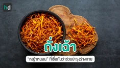 ถั่งเฉ้า และสมุนไพรจีนอื่นๆ ที่ได้ชื่อว่ามีสรรพคุณบำรุงสุขภาพ