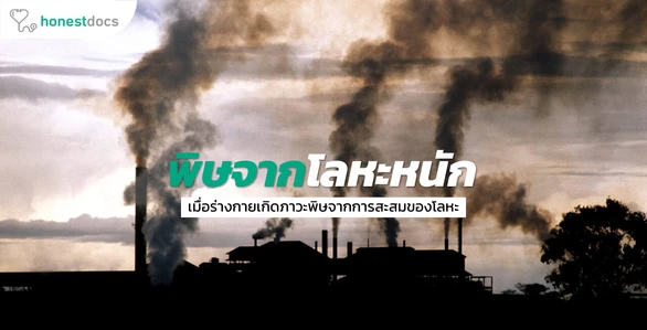 Heavy Metal Poisoning - สาเหตุ อาการ การรักษา ป้องกัน