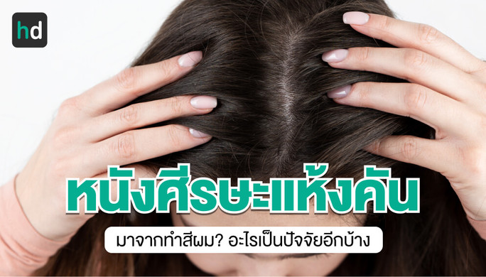 หนังศีรษะแห้ง คัน เกิดจากอะไร? ทำอย่างไรดี? | Hd สุขภาพดี เริ่มต้นที่นี่