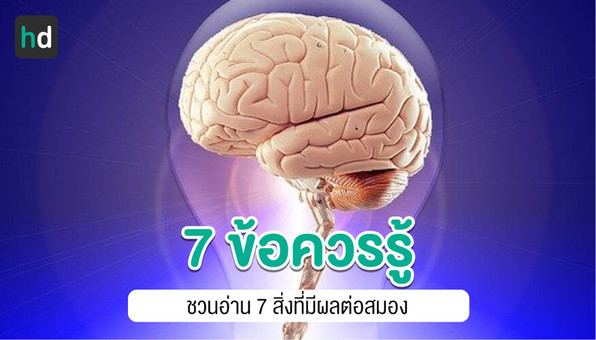 ชวนอ่าน 7 สิ่งที่มีอิทธิพลต่อสมอง