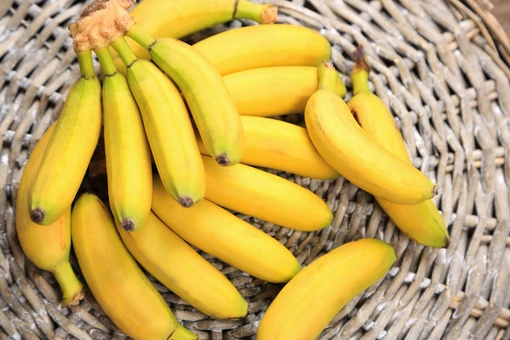 ประโยชน์ของกล้วยไข่ ประกอบไปด้วย เบต้าแคโรทีน และวิตามินซีสูงมาก