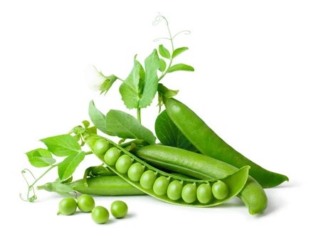 ถั่วลันเตา (Peas)