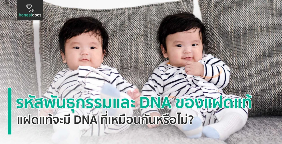 รหัสพันธุกรรมและ DNA ของแฝดแท้