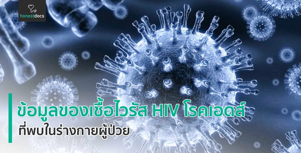 ข้อมูลของเชื้อไวรัส HIV โรคเอดส์ ที่พบในร่างกายผู้ป่วย