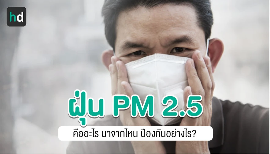 รู้จักฝุ่นพิษ PM 2.5 ที่มากับมลภาวะ และวิธีการเลือกหน้ากากป้องกัน