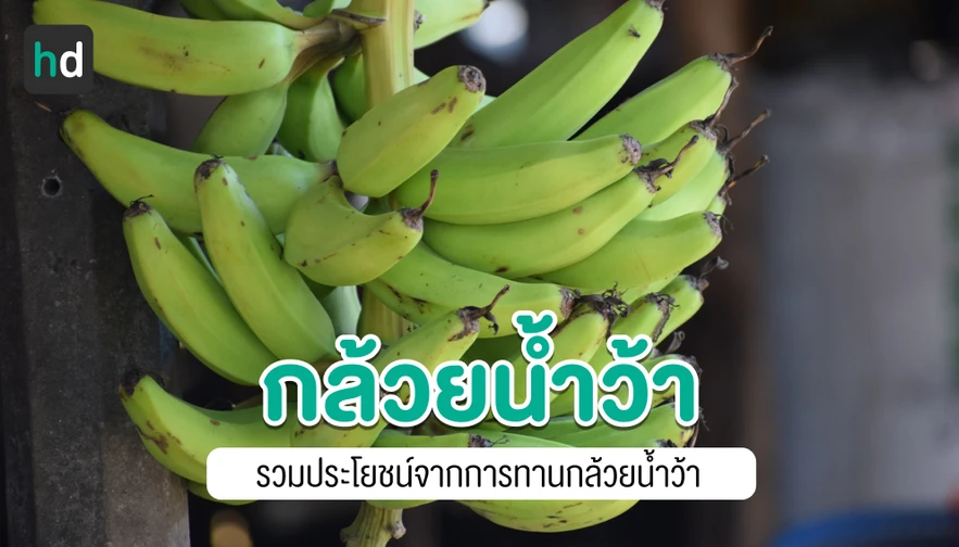 ประโยชน์ของกล้วยน้ำว้า วิธีการกินเพื่อสุขภาพ และข้อควรระวัง