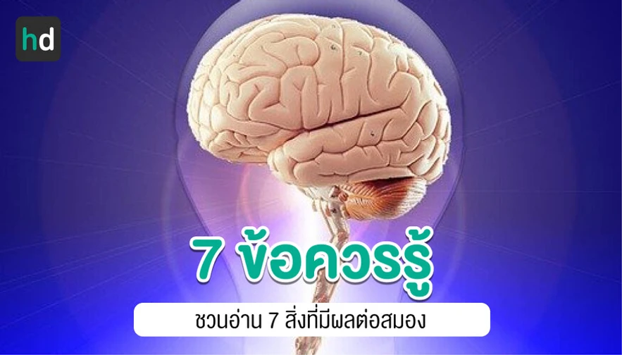 ชวนอ่าน 7 สิ่งที่มีอิทธิพลต่อสมอง
