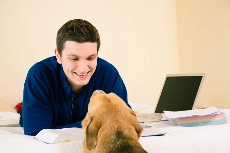 งานวิจัยเผย สุนัขบำบัดสามารถช่วยนักเรียนที่เครียดได้