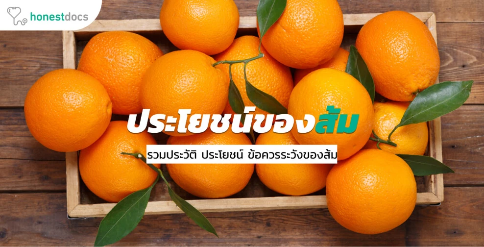 ส้ม ข้อมูล สรรพคุณ ข้อควรระวัง และวิธีการกินเพื่อสุขภาพ