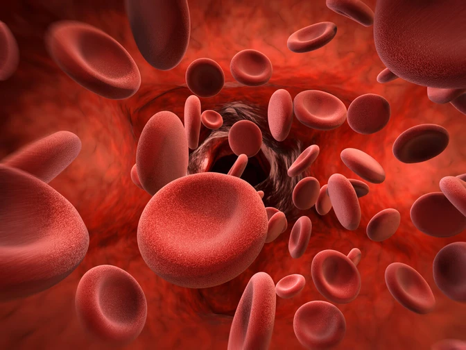 เราจะเพิ่มเซลล์เม็ดเลือดแดงได้อย่างไรบ้าง? 