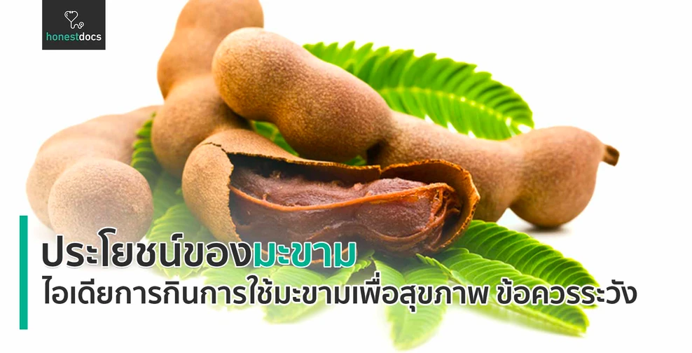 ประโยชน์ของมะขาม ไอเดียการกินการใช้มะขามเพื่อสุขภาพ ข้อควรระวัง