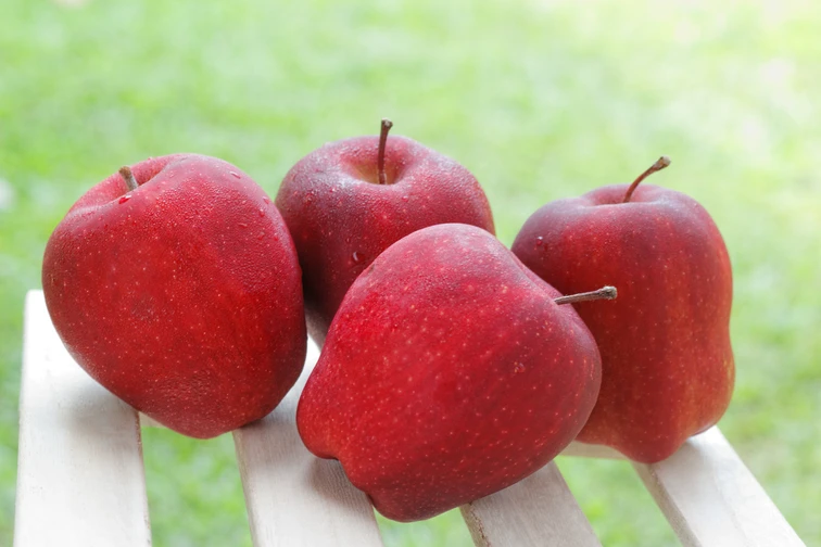 เมล็ดพันธุ์แอปเปิ้ลมีพิษ