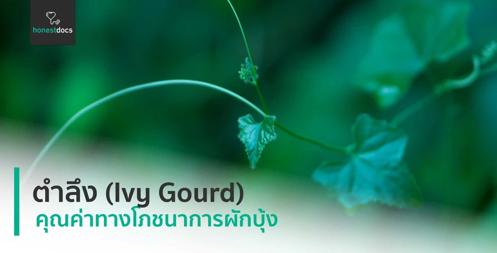 ตำลึง (Ivy Gourd)