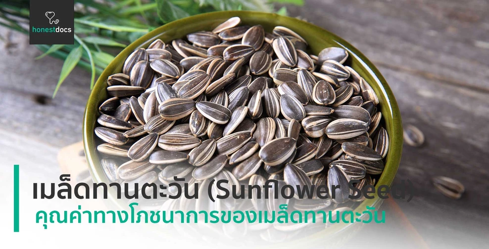 เมล็ดทานตะวัน (Sunflower Seed)