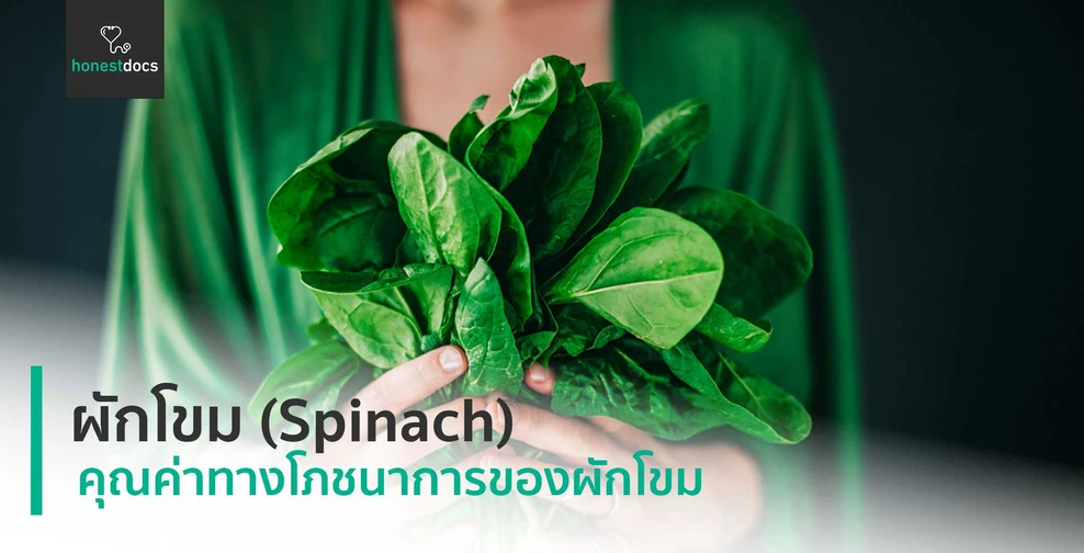 ผักโขม (Spinach)