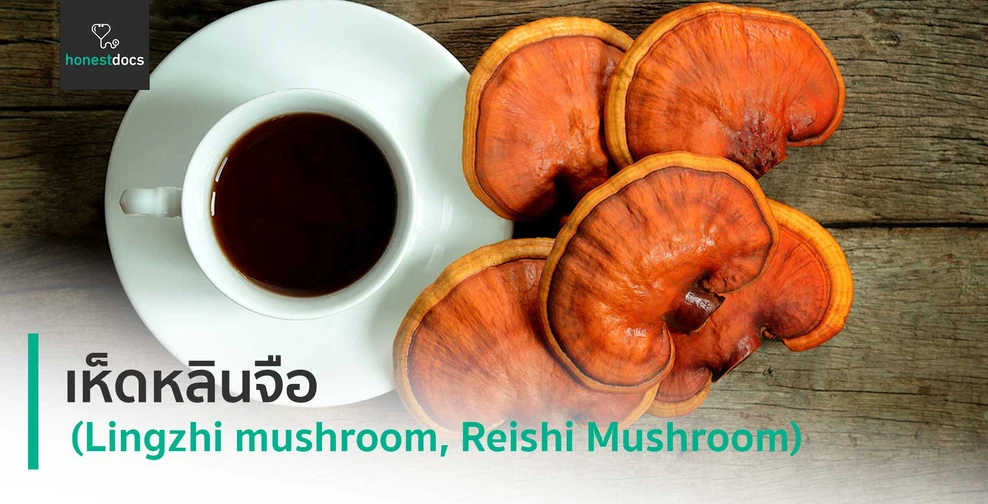 เห็ดหลินจือ (Lingzhi mushroom)
