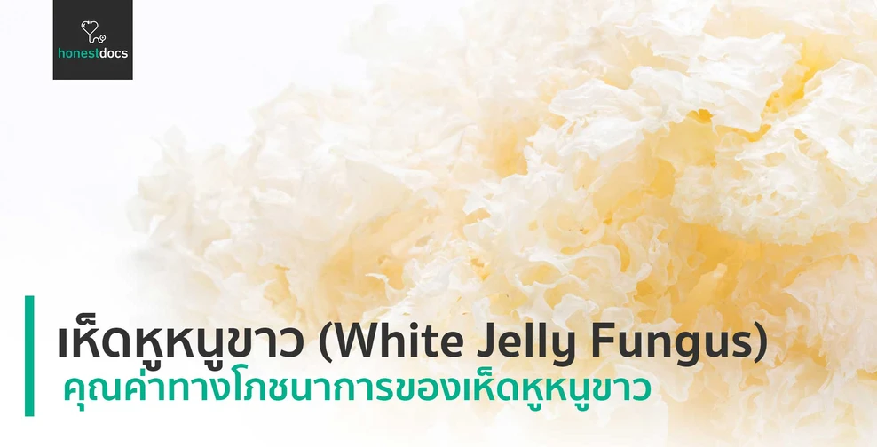 เห็ดหูหนูขาว (White Jelly Fungus) | HonestDocs