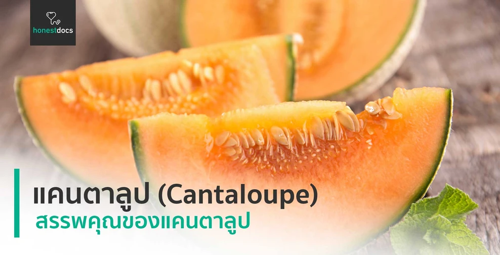 แคนตาลูป (Cantaloupe)