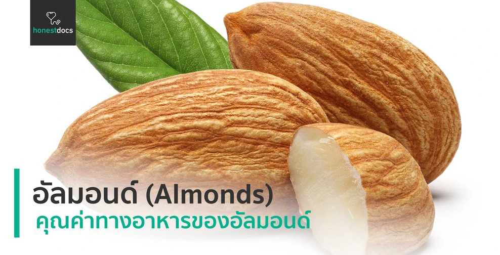 อัลมอนด์ (Almonds)
