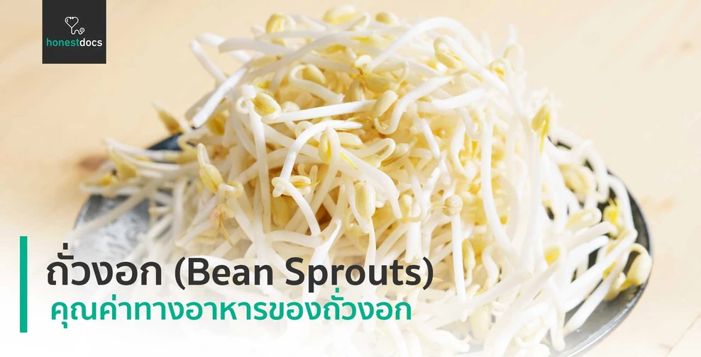 ถั่วงอก (Bean Sprouts)