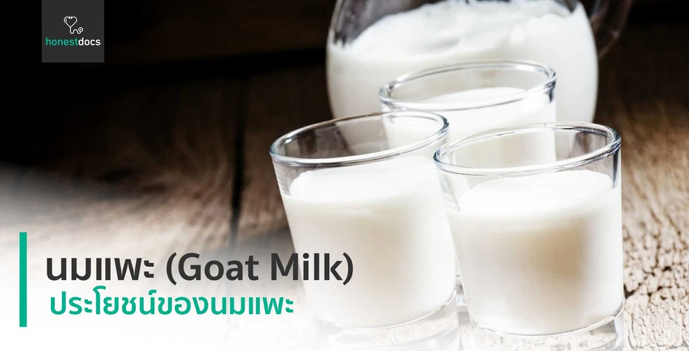 นมแพะ (Goat Milk)