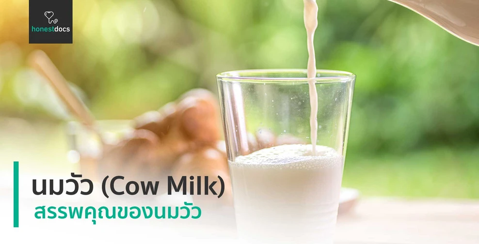 นมวัว (Cow Milk) 