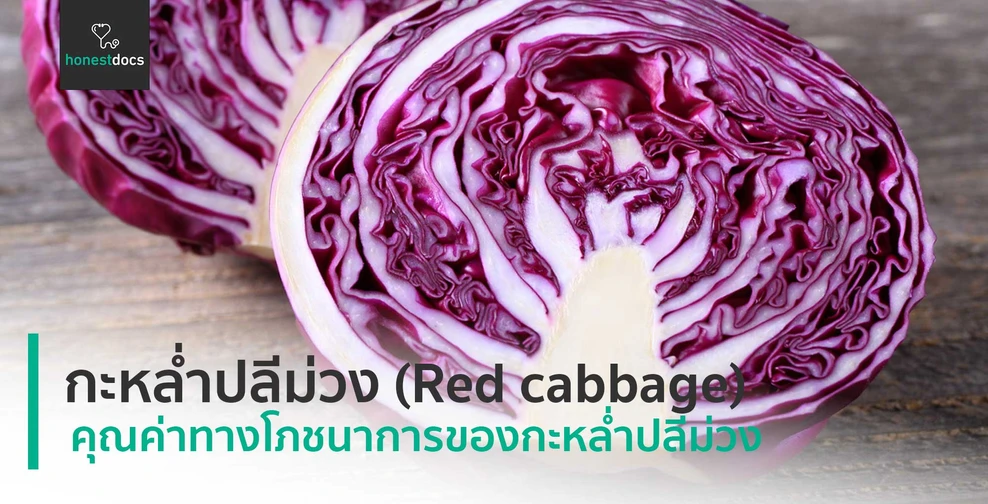 กะหล่ำปลีม่วง (Red cabbage) 