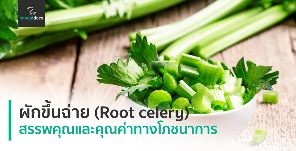 ผักขึ้นฉ่าย (Root celery)