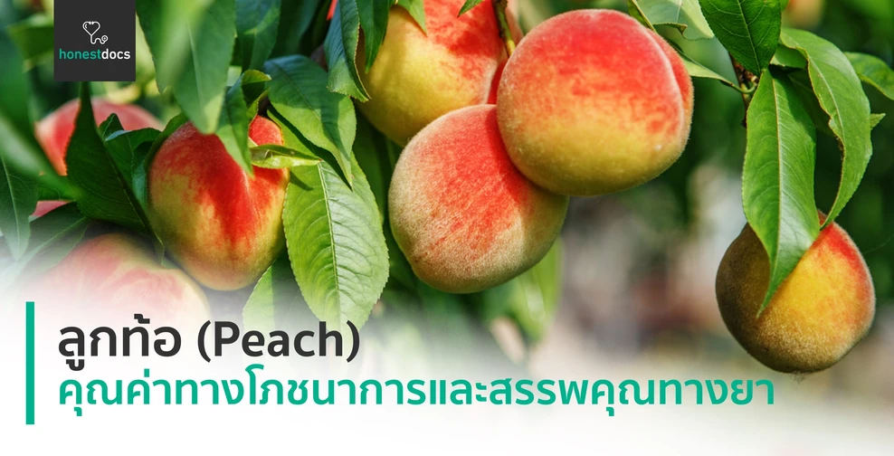 ลูกท้อ (Peach)