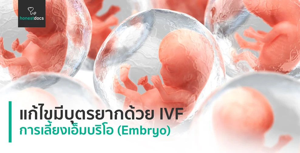 เลี้ยงเอ็มบริโอแบบใดในการทำ IVF ที่ให้ผลดีที่สุด ?