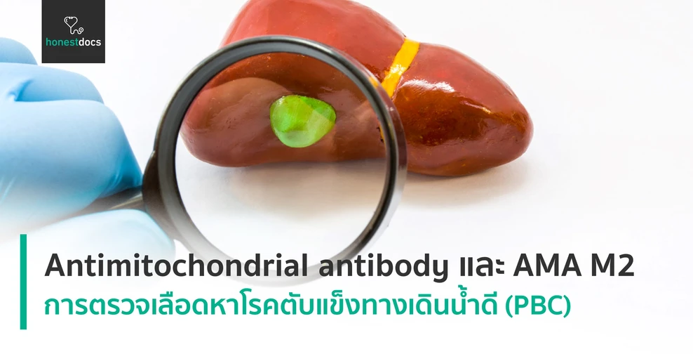 Antimitochondrial antibody และ AMA M2