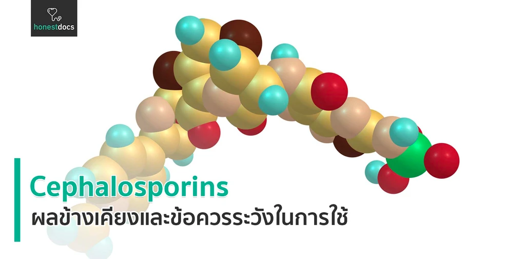 ยาเซฟาลอสปอรินส์ (Cephalosporins)