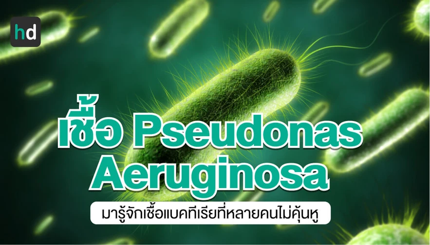 เชื้อ Pseudomonas aeruginosa ติดเชื้อได้จากไหน รักษาอย่างไร