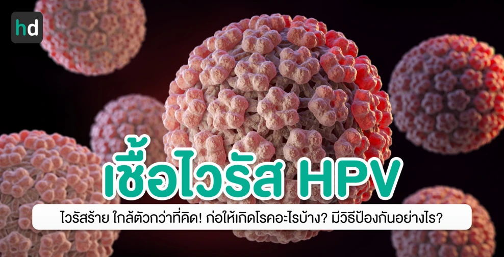 HPV ไวรัสวายร้าย ใกล้ตัวกว่าที่คิด!
