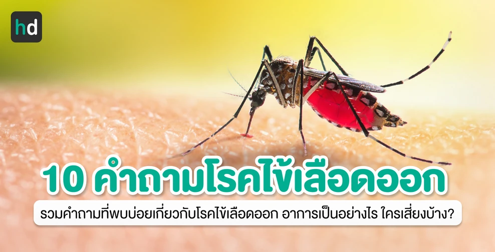 รู้ลึก รู้จริงกับ 10 คำถามโรคไข้เลือดออก