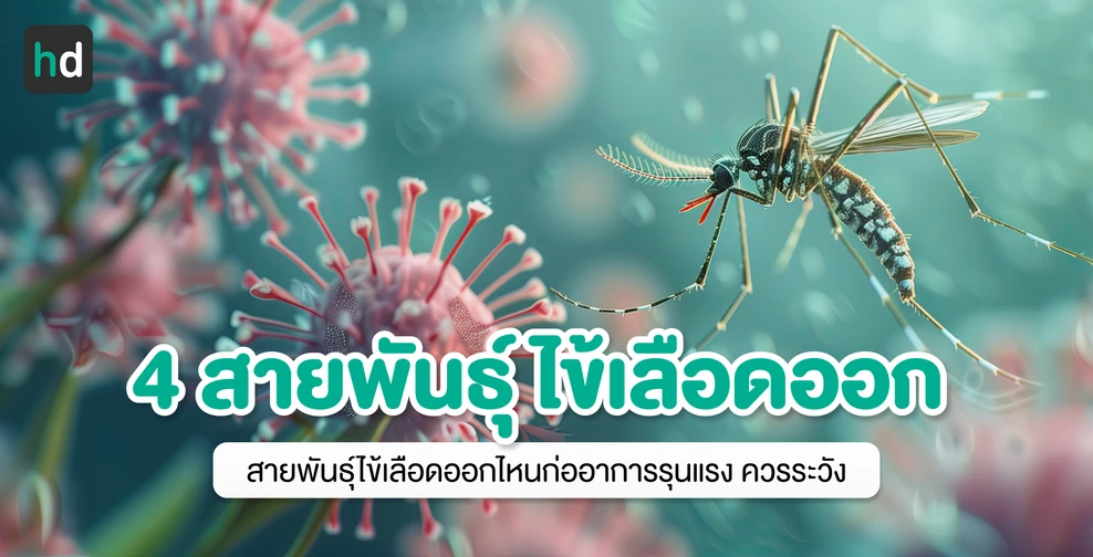 4 สายพันธุ์ ไข้เลือดออก สายพันธุ์ไหนดุ ควรระวังมากสุด