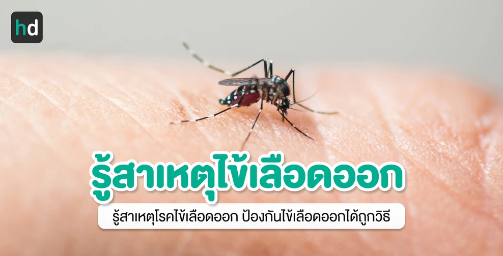 รู้สาเหตุไข้เลือดออก ป้องกันโรคได้ถูกวิธี