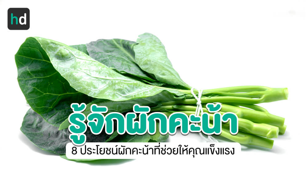 คะน้า ข้อมูล สรรพคุณ ประโยชน์ การบริโภคเพื่อสุขภาพ HD สุขภาพดี